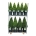 Buxus sempervirens Mix CC 6