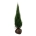 Juniperus scop. 'Blue Arrow'  125-150 kl. extra