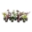 Mixlaag Acer palmatum veredeld  50-60 P23/C5