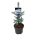 Picea pung. 'Blue Diamond' PBR  30-40 P21/C4,6