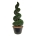 Taxus baccata Spiraal 225-250 P120/C500