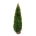 Thuja occ. 'Smaragd'  180-200 kl.